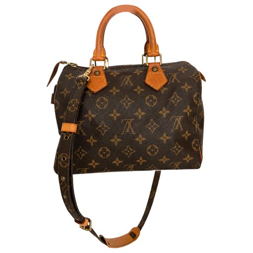 Louis Vuitton Speedy Bandoulière leather handbag