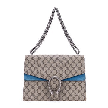 Medium Dionysus Chain Crossbody