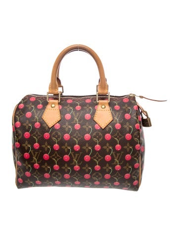 LV Monogram Speedy 25