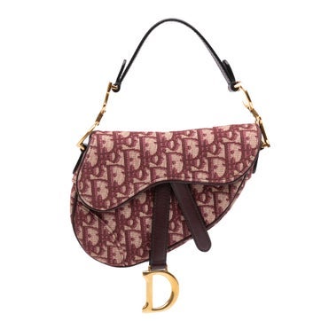 Mini Oblique Canvas and Calfskin Saddle Bag