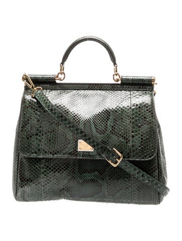 Python Sicily Medium