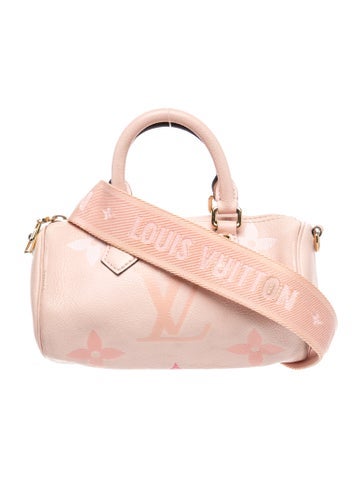 Louis Vuitton LV Monogram Papillon BB
