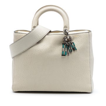 Large Canyon Grained Lambskin Lady Dior