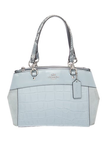 Leather Brooke Carryall Mini