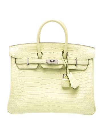 Matte Porosus Crocodile Birkin 25