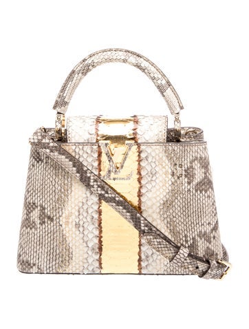 Python Capucines BB