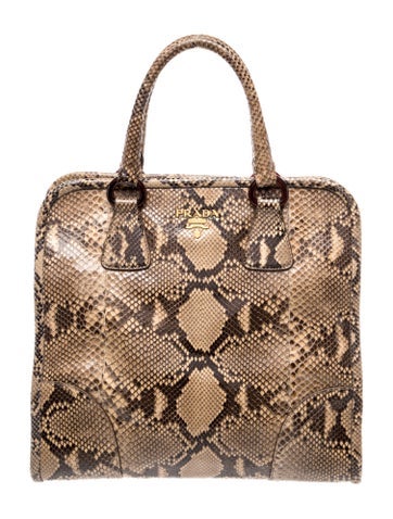 Snakeskin Top Handle Bag