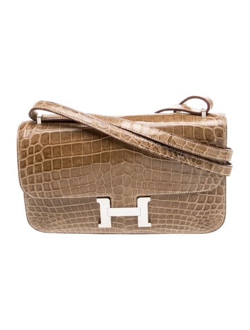 Shiny Niloticus Crocodile Constance Elan
