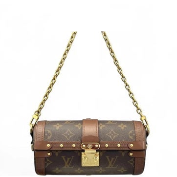 Louis Vuitton Coated Canvas Papillon Trunk