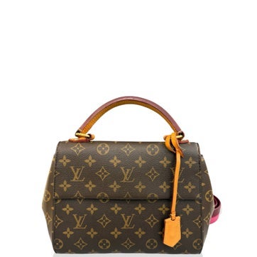 Togo Leather Cluny Bb Brown